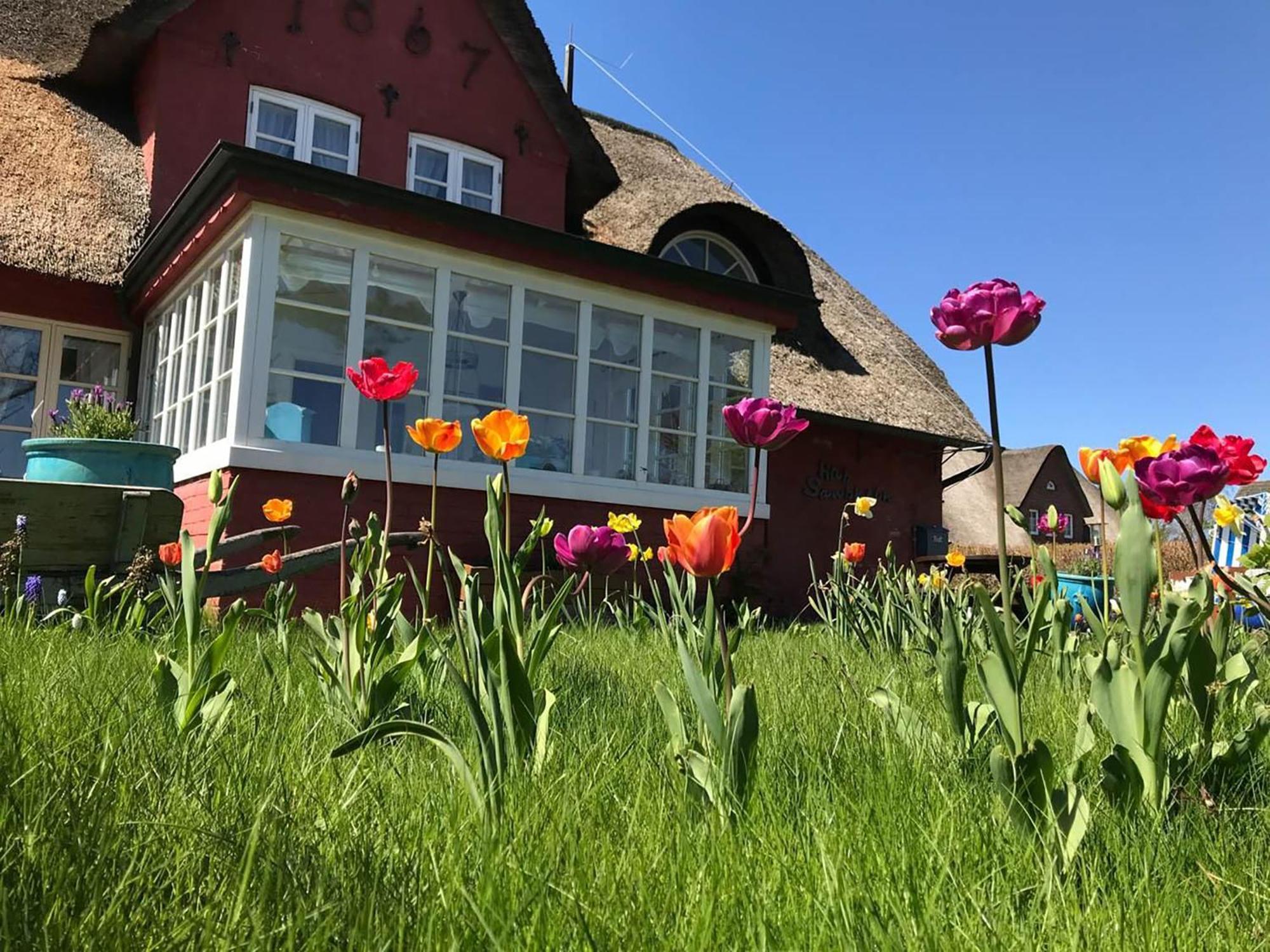 Hues Sanskiin Ferienwohnung *Aawerkant* Suddorf Extérieur photo